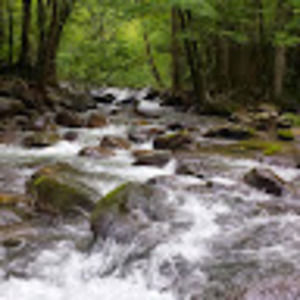 Meet your Posher, Belinda